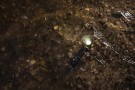  Armytek Elf C2 MAX Hodelykt – 4500 lumen USB-C lading  thumbnail